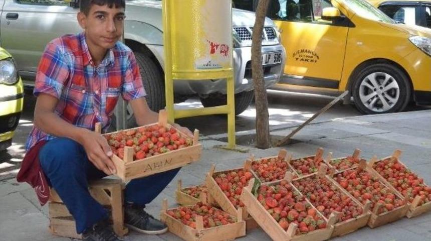 Gezin &Ccedil;ileği Tezgahtaki Yerini Aldı