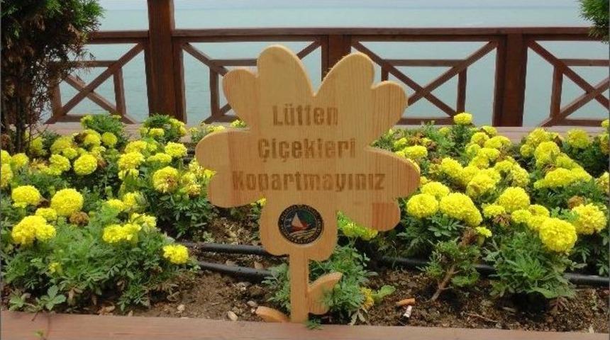 Ak&ccedil;akoca Belediyesinden Temiz Kent Sloganı