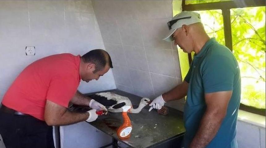 Birine Otomobil &Ccedil;arptı, Diğerinin Ayağı Kangren Oldu