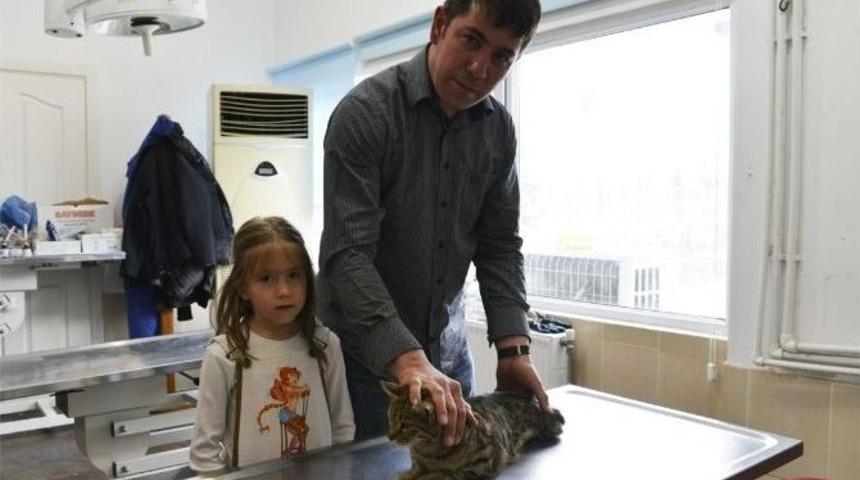 Sahiplendirme Başarısı S&uuml;r&uuml;yor