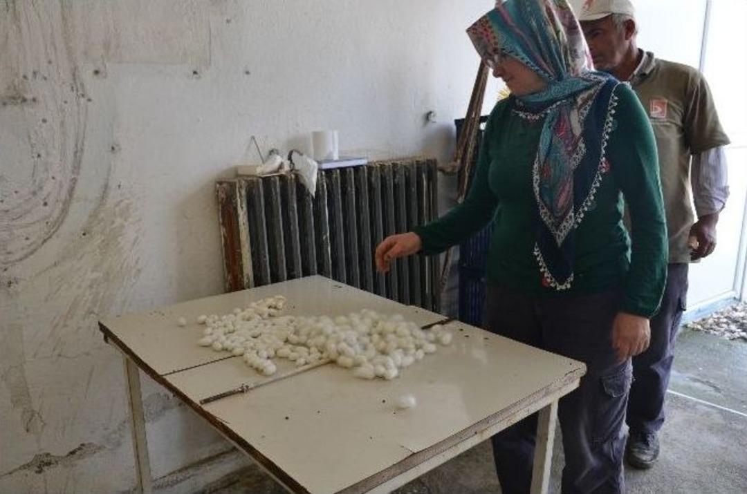 Bilecik Eski G&uuml;nlerine Geri D&ouml;n&uuml;yor