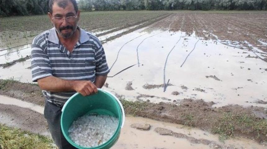 20 Dakika Yağan Dolu 18 D&ouml;n&uuml;m Arazide &Uuml;r&uuml;n Bırakmadı