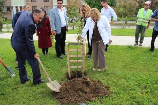 Çocuklar Dalından Yesin Diye Parklara Meyve Fidanı Dikildi