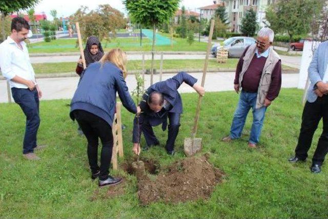 Çocuklar Dalından Yesin Diye Parklara Meyve Fidanı Dikildi