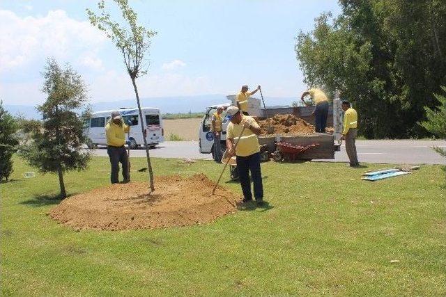 İşçilerin 17 Saat Oruçla 42 Derece Sıcakta Ekmek Mücadelesi