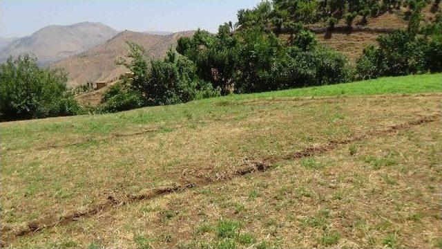 Hava Ambulansı Yakılan Ateşle Tarlaya İndi