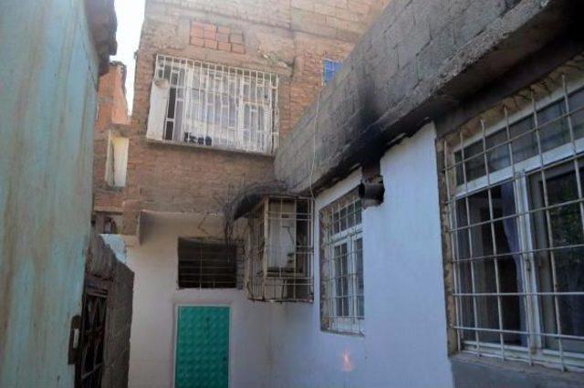 Diyarbakır da 25 Bin K&ouml;k Kenevir Imha Edildi 2