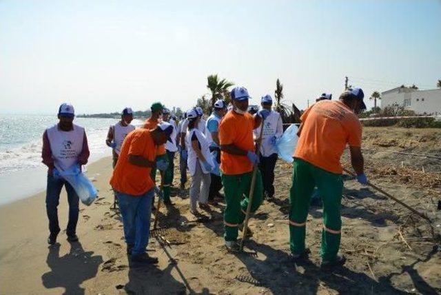 Deniz Kaplumbağaları I&ccedil;in Sahili Temizlediler 3