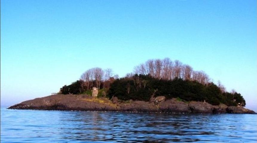 Giresun Adası A&ccedil;ıklarında A&ccedil;ık Denize Y&uuml;zme Yarışması D&uuml;zenlenecek