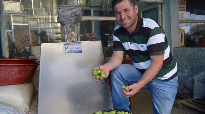 Adilcevaz&rsquo;da &Uuml;retiliyor D&uuml;nya &Uuml;lkelerine İhracatı Yapılıyor