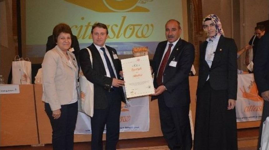 Şavşat &ldquo;sakin Şehir&rdquo; Oldu