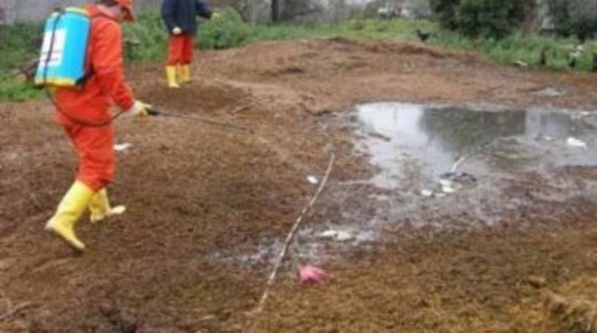 D&uuml;zce Belediyesi Sivrisinek İle M&uuml;cadeleye Başlıyor