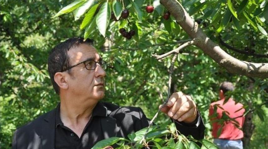 Kirazda Self Servis D&ouml;nemi