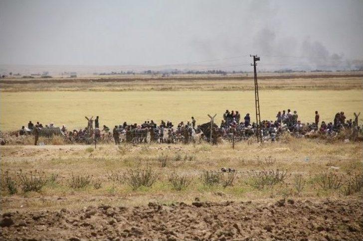 Kobanililer Sınıra Yığılmaya Başladı G5