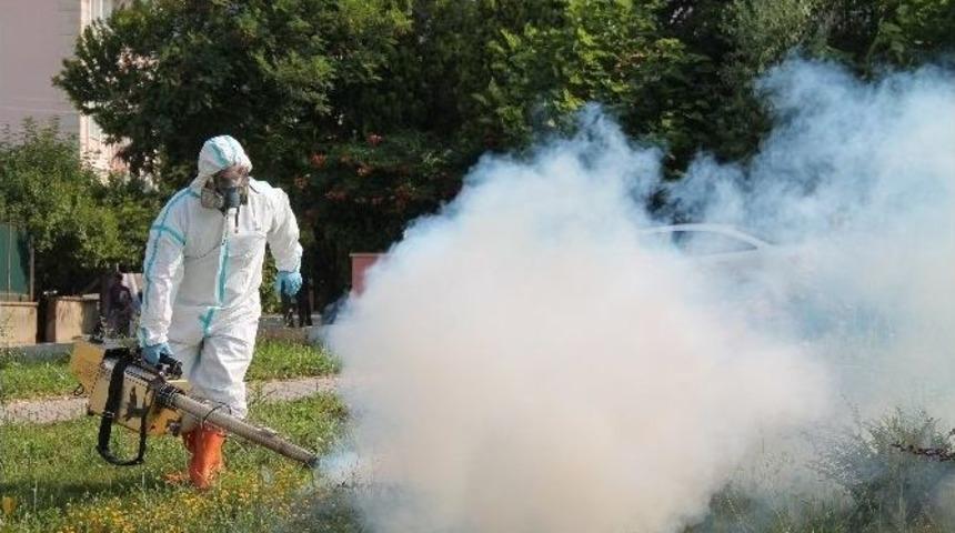 Edirne Belediye Başkan Yardımcısı Tanrıkulu, &Ccedil;eltik &Uuml;reticilerine Uyarılarda Bulundu