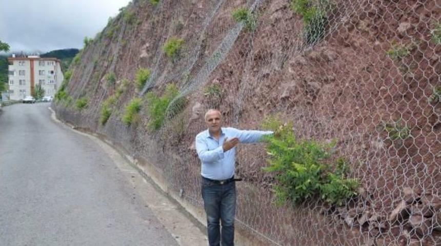 Artvin'de Yaban Ke&ccedil;isi &Ccedil;elik Tel &Ouml;rg&uuml;n&uuml;n Arkasında Mahsur Kaldı