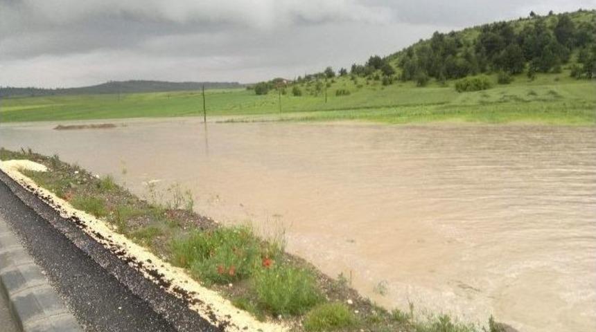 Zmo Genel Başkanı G&uuml;ng&ouml;r: &ldquo;aşırı Yağışlar Tarım &Uuml;r&uuml;nlerini Olumsuz Etkiledi&rdquo;