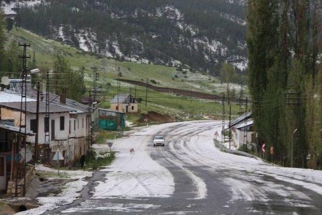 Erzurum’da Dolu Sürprizi