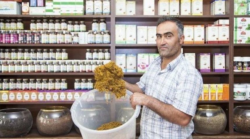 (&ouml;zel Haber) Ramazan Ayında Susuzluğa Karşı &ldquo;meyan K&ouml;k&uuml; Şerbeti&rdquo;