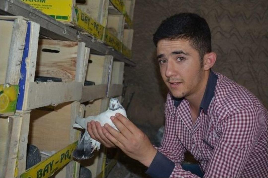 &Ouml;zel Haber - Kulu&ccedil;kaya Yatan G&uuml;vercinlere &Ouml;zel İlgi