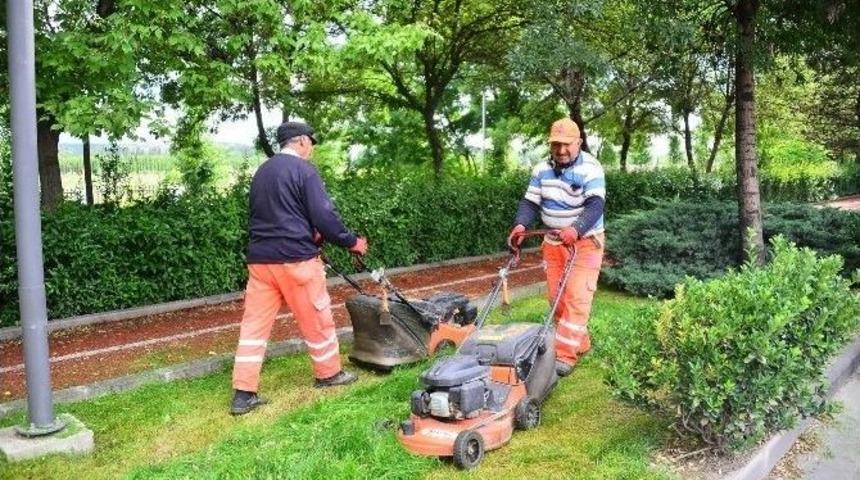 B&uuml;y&uuml;kşehir&rsquo;den Yabani Ot Temizliği