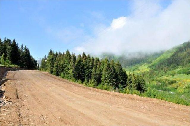 Tema Vakfı: Yeşil Yol Durdurulsun