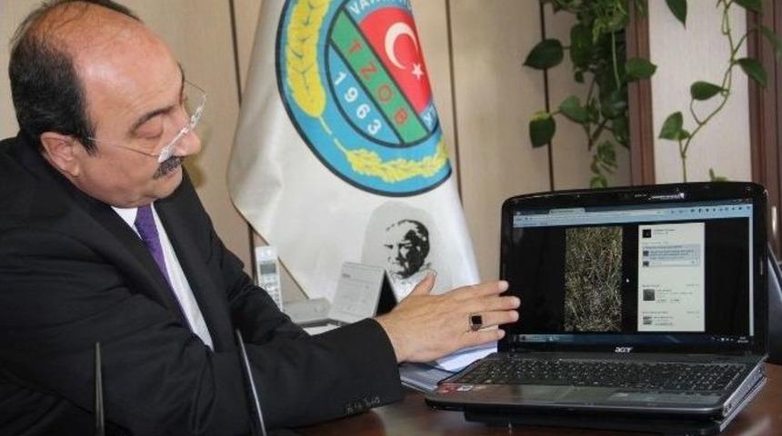 Aşırı Yağışlar Tarım Alanlarını Vurdu