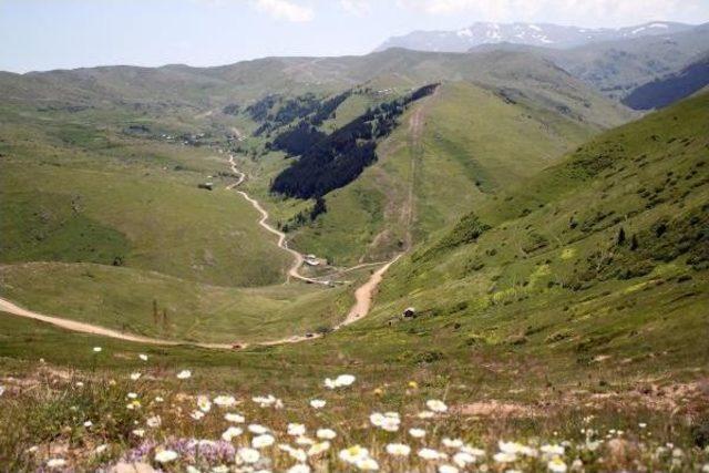 Ordu Büyükşehir Belediye Başkanı: 'yeşil Yol' Kent Turizmine Katkı Sağlayacak