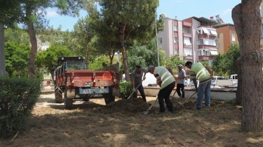 Nazilli’de Tahrip Olan Parklar Yeni Yüzüne Kavuşuyor