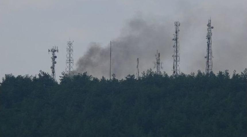 Kent Ormanındaki Duman Korkuttu