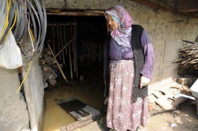 Göbü Köyü'nde Dere Taştı, Cami Ve Evleri Su Bastı