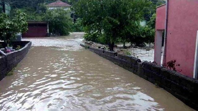 Göbü Köyü'nde Dere Taştı, Cami Ve Evleri Su Bastı