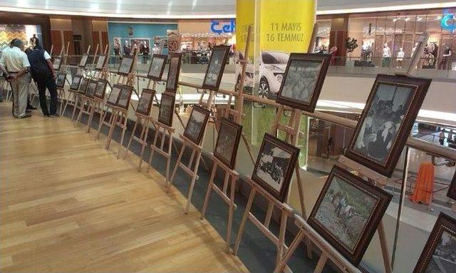 Malatya’nın Tarihini Anlatan Fotoğraf Sergisi Açıldı