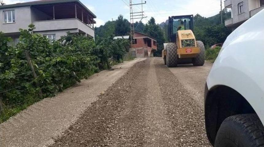 Fatsa Belediyesi&rsquo;nden Yoğun Mesai