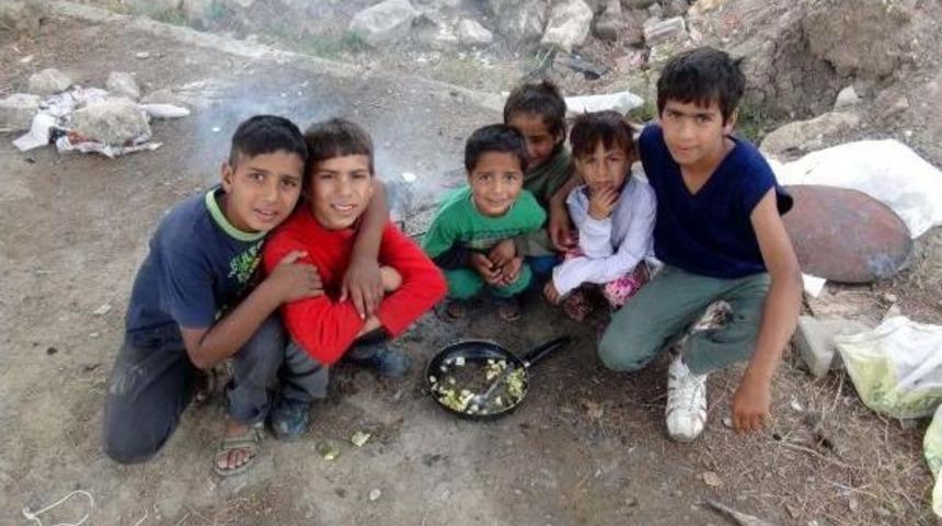 Kendi &Uuml;lkelerinde M&uuml;lteci Hayatı