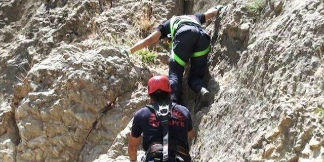 Kahramanmaraş’ta Keçi Kurtarma Operasyonu