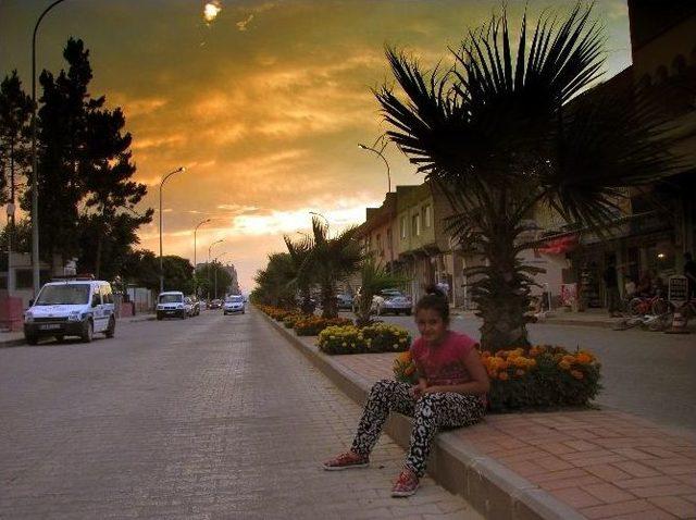 Çiçeklerle Donanan Araban, Tablo Resim Görünümünde