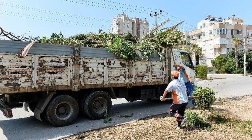 Bah&ccedil;e Atıkları İ&ccedil;in Duyarlılık &Ccedil;ağrısı