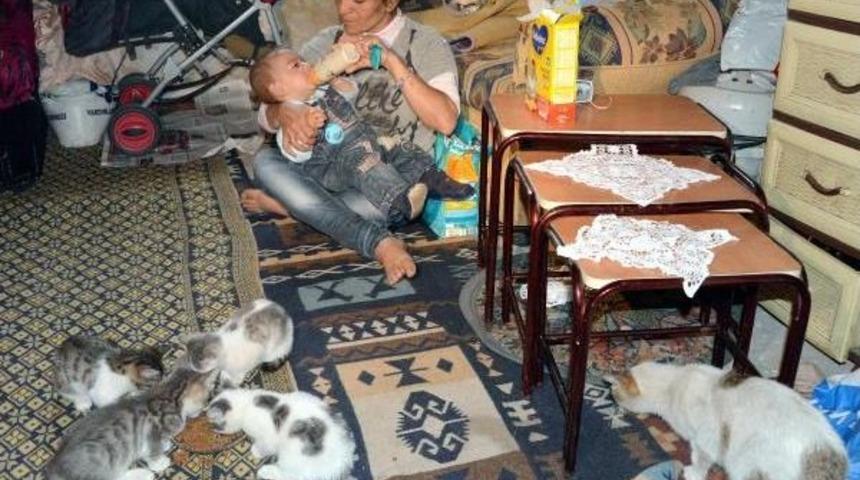'kedili Ev'de Herkesin Y&uuml;z&uuml; G&uuml;l&uuml;yor