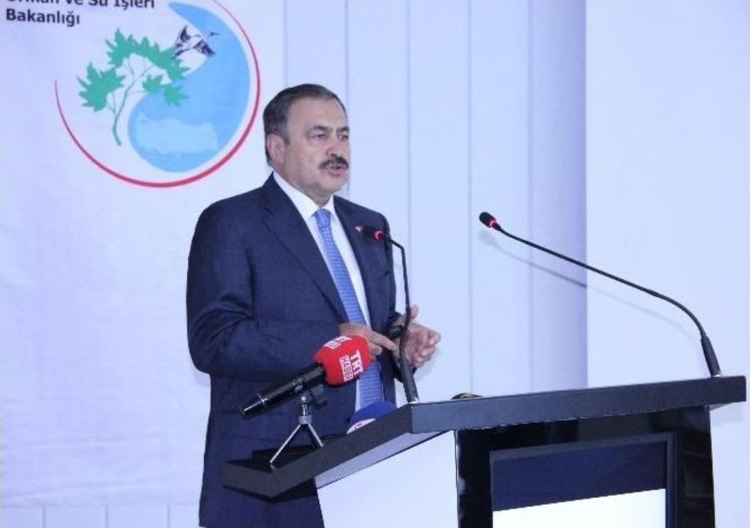 Bakan Eroğlu: "festival Yapmasınlar, İşlerine Baksınlar"