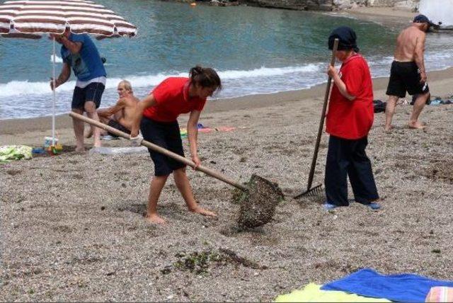 Mavi Bayraklı Plajda Temizlik