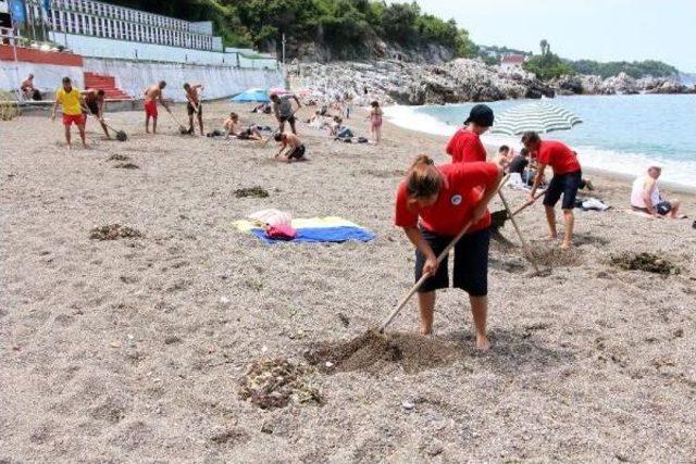 Mavi Bayraklı Plajda Temizlik