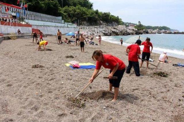 Mavi Bayraklı Plajda Temizlik