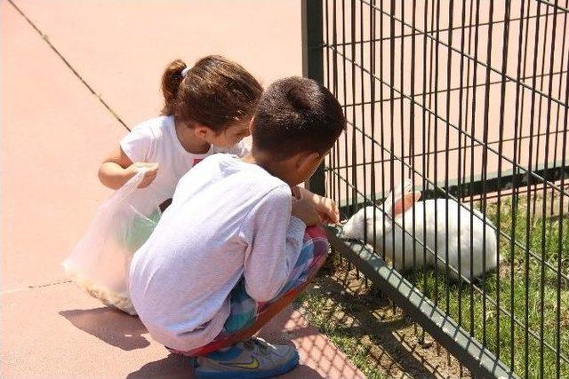 Hayvanat Bahçesine Hafta Sonu İlgisi