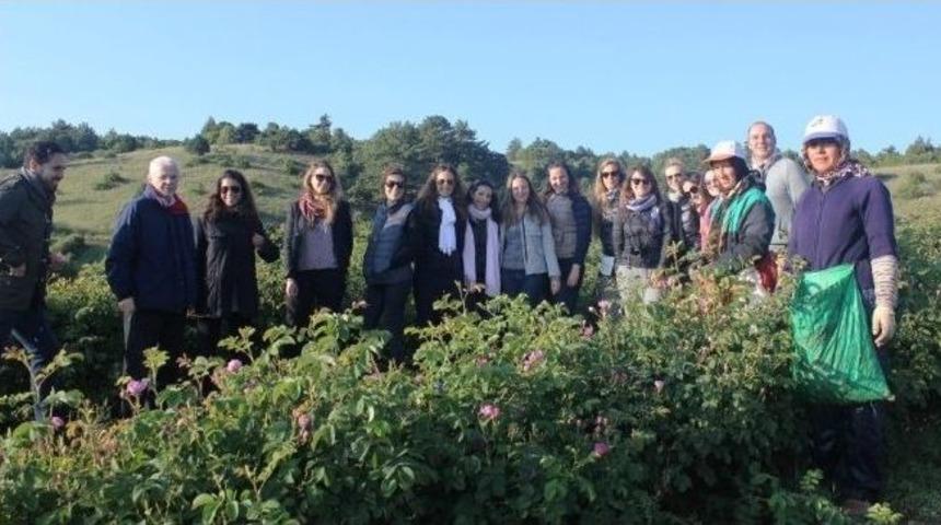 L&rsquo;oreal-paris Y&ouml;neticileri, Isparta&rsquo;da G&uuml;l Bah&ccedil;elerini İnceledi