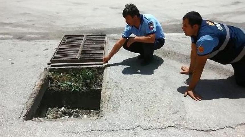 İtfaiye Erlerinin Zorlu Kedi Kurtarma Operasyonu