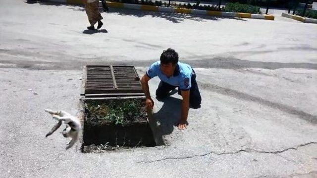 İtfaiye Erlerinin Zorlu Kedi Kurtarma Operasyonu