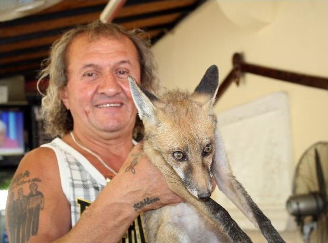 Turistik Restorana Tilki S&uuml;rprizi