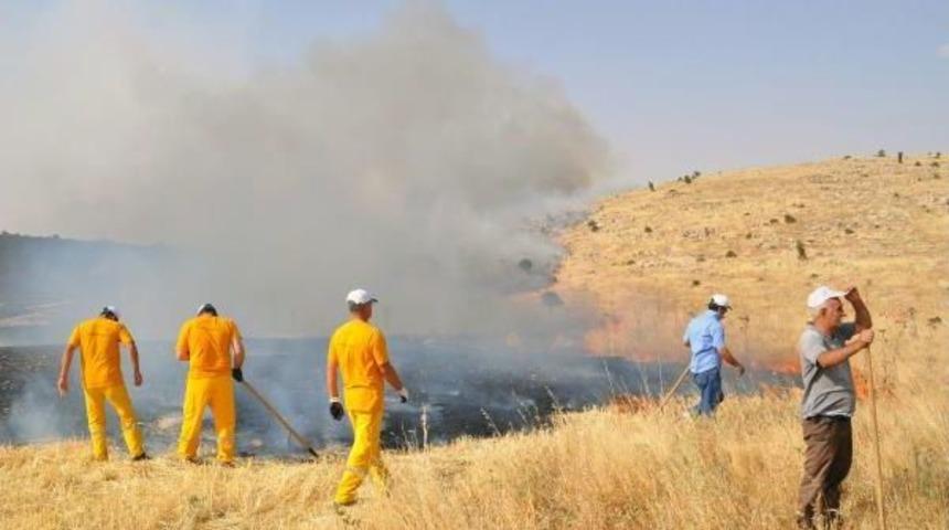 Derik'te 10 Hektar Meşelik Alanda Yangın S&uuml;r&uuml;yor