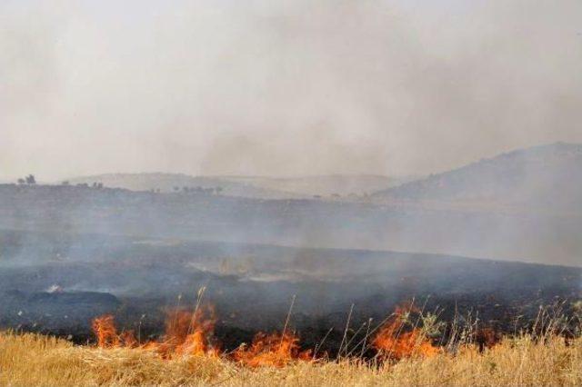 Derik'te 10 Hektar Meşelik Alanda Yangın Sürüyor